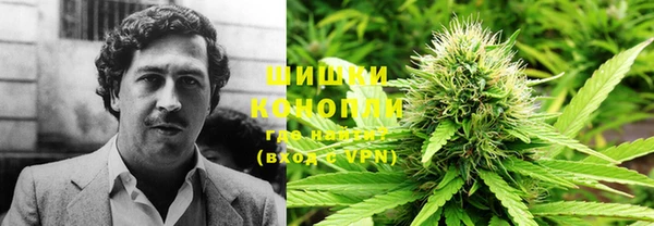 Альфа ПВП Лагань