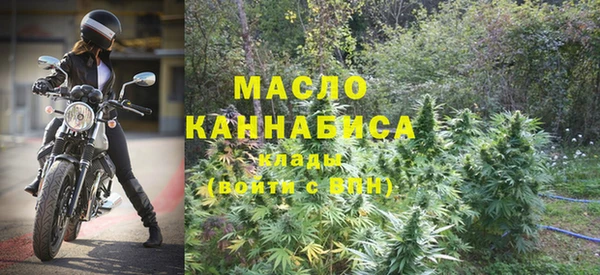 Альфа ПВП Лагань
