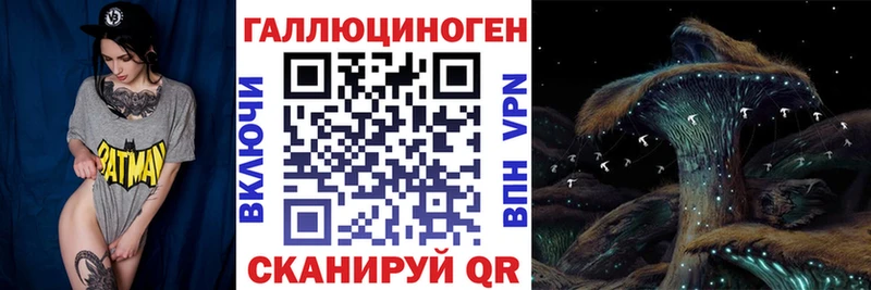 где найти   Златоуст  Псилоцибиновые грибы ЛСД 
